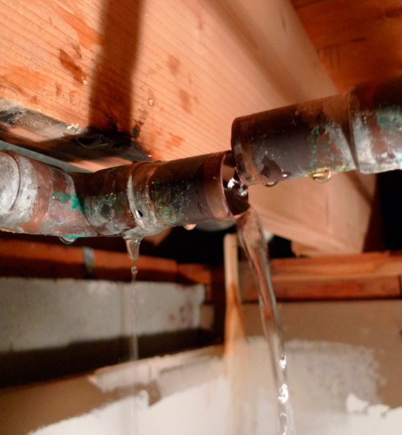 Burst pipe under house in Lower Hutt