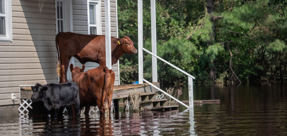 Flooding! It’s New Zealand's Number One Hazard.