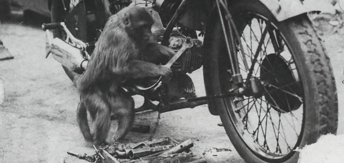 Did a Monkey Invent the Monkey Wrench?